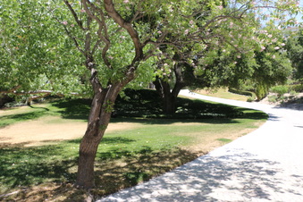 Enlarge photo 10