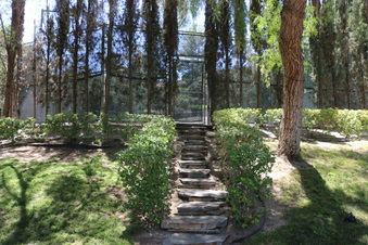 Enlarge photo 14