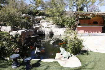 Enlarge photo 16