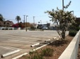 Enlarge photo 46