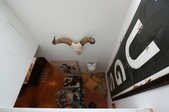 Enlarge photo 55