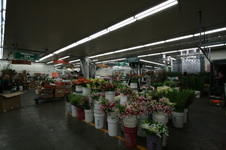 Enlarge photo 28