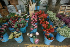 Enlarge photo 29
