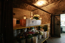 Enlarge photo 31