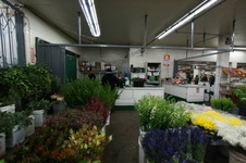 Enlarge photo 32