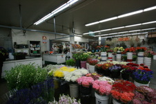 Enlarge photo 33
