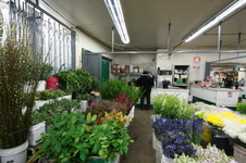 Flower Mart