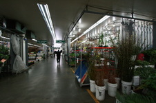 Enlarge photo 35