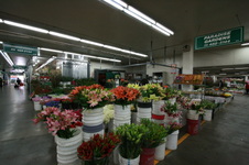 Enlarge photo 37