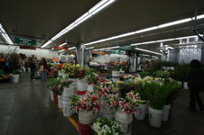 Enlarge photo 39