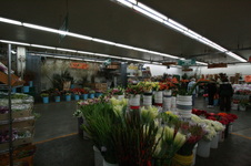 Enlarge photo 41