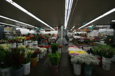 Enlarge photo 42