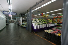 Enlarge photo 47