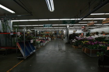 Enlarge photo 48
