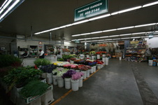 Enlarge photo 49