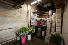 Enlarge photo 50