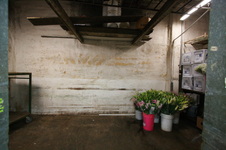 Enlarge photo 51