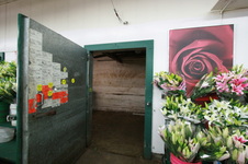 Enlarge photo 52