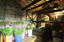 Enlarge photo 53
