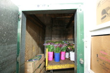 Enlarge photo 54