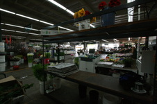 Enlarge photo 55