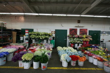 Enlarge photo 56