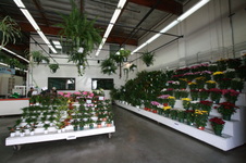 Enlarge photo 35