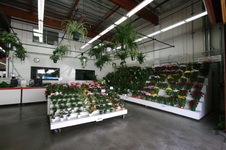 Enlarge photo 36