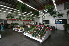 Enlarge photo 37