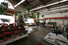 Enlarge photo 41