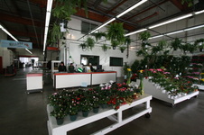 Enlarge photo 44