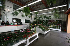 Enlarge photo 45