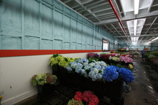 Enlarge photo 25