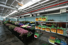 Enlarge photo 26