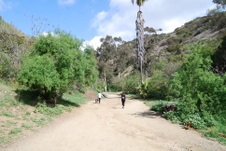 Enlarge photo 18