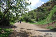 Enlarge photo 19