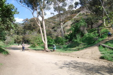 Enlarge photo 21