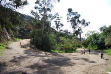 Enlarge photo 23