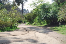 Enlarge photo 24