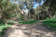 Enlarge photo 25