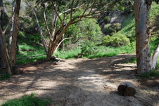 Enlarge photo 26