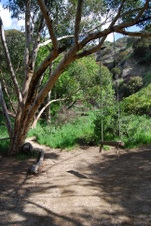Enlarge photo 27