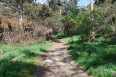 Enlarge photo 29