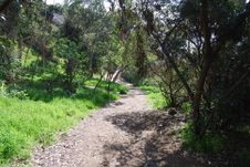 Enlarge photo 30