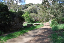 Enlarge photo 31