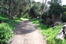 Enlarge photo 32