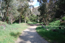 Enlarge photo 33