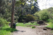 Enlarge photo 34