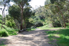 Enlarge photo 35