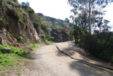 Enlarge photo 36